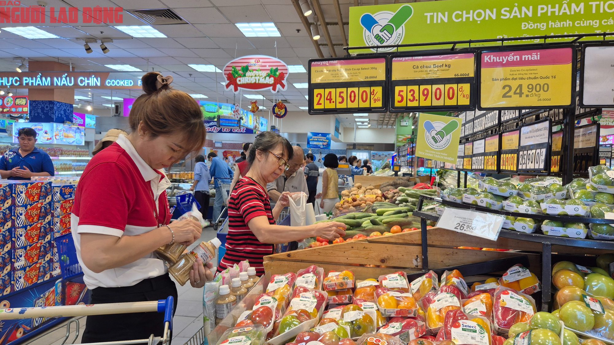 600296418_1185603530441763_1121276276408793213_n